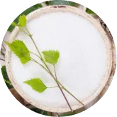 MemoVolt™ Xylitol for everyday nutritional brain support