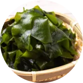 MemoVolt™ Fucoidan from Japanese Sea Kelp for neural wellness